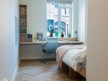 Room for rent in a shared flat in {area}