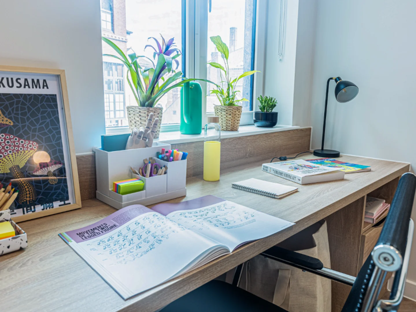 Affordable room for students with ample lighting in 