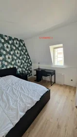 Stanza privata in Tours, 37000, immagine 15 di 16
