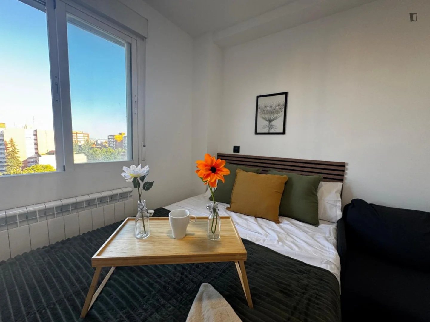 Comfortable and spacious student room in
