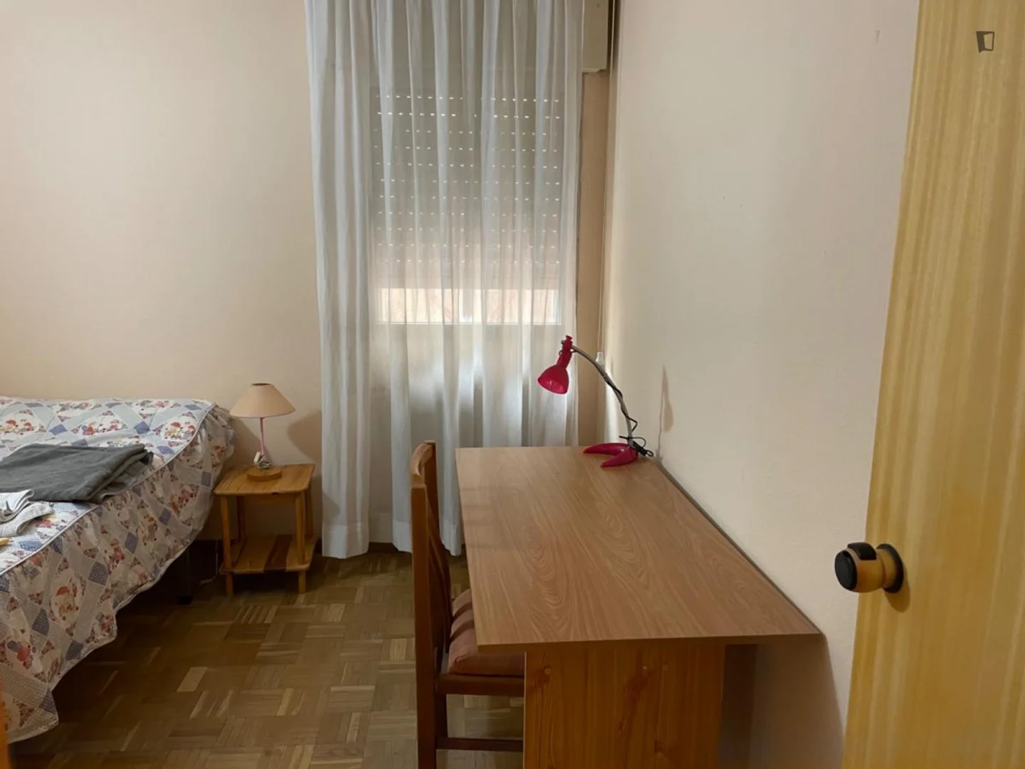 Affordable room for students with ample lighting in