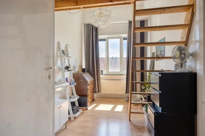 Habitación privada en Berg en Dalseweg, imagen 9 de 10