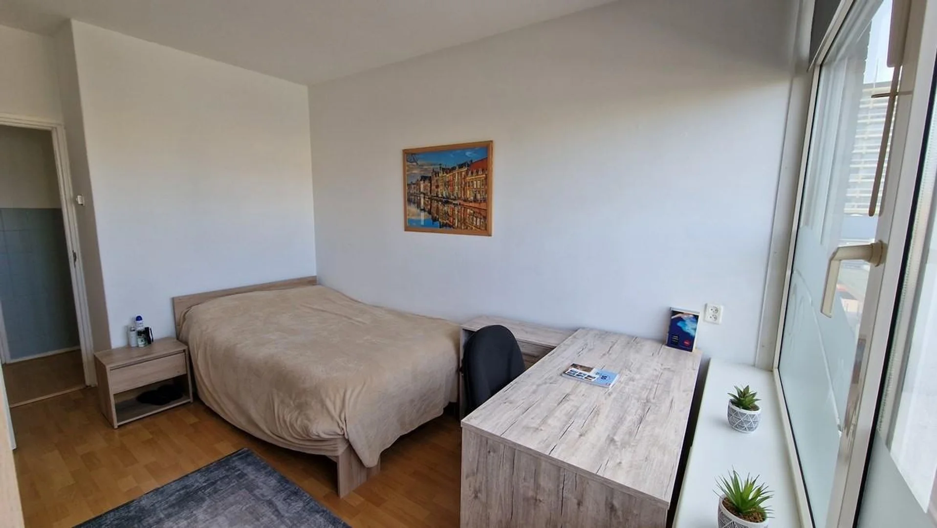 Affordable room for students with ample lighting in 
