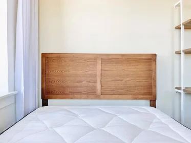 Apartamento inteiro em residência em 591 Franklin Avenue, 5, Crown Heights, New York, NY, 11238, imagem 6 de 11