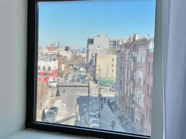 Apartamento inteiro em residência em 591 Franklin Avenue, 5, Crown Heights, New York, NY, 11238, imagem 7 de 11