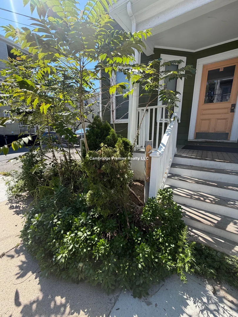 15, Waldo Ave., Unit 1F, Inman Square, Somerville, MA, 02143