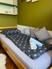 Chambre privée à Ulica borcev za severno mejo, Galjevica, image 7 de 10