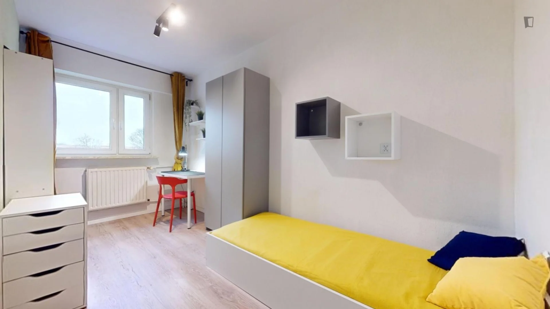 Affordable room for students with ample lighting in 