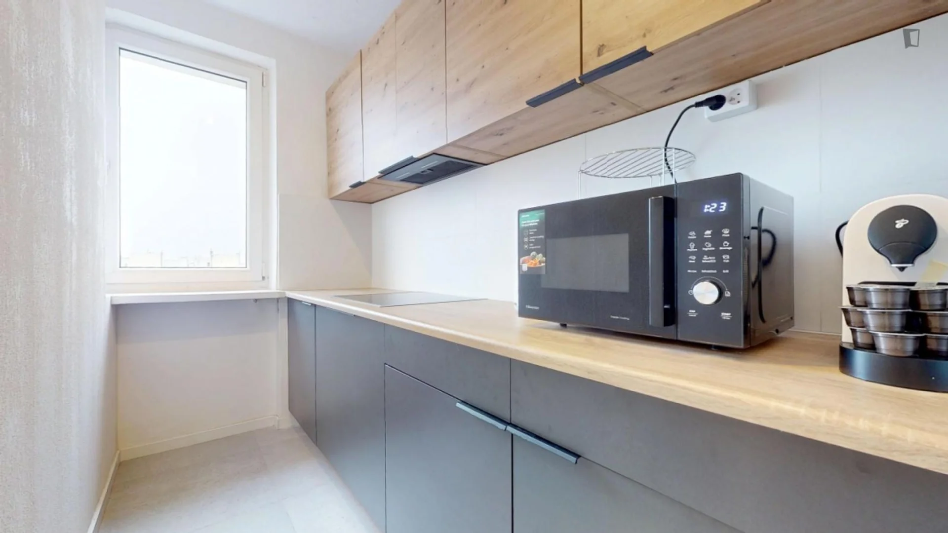 Affordable room for students with ample lighting in 