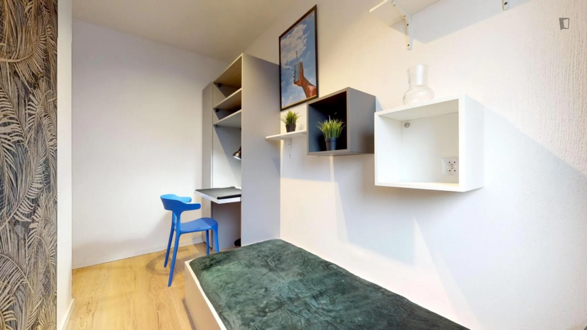 Affordable room for students with ample lighting in 
