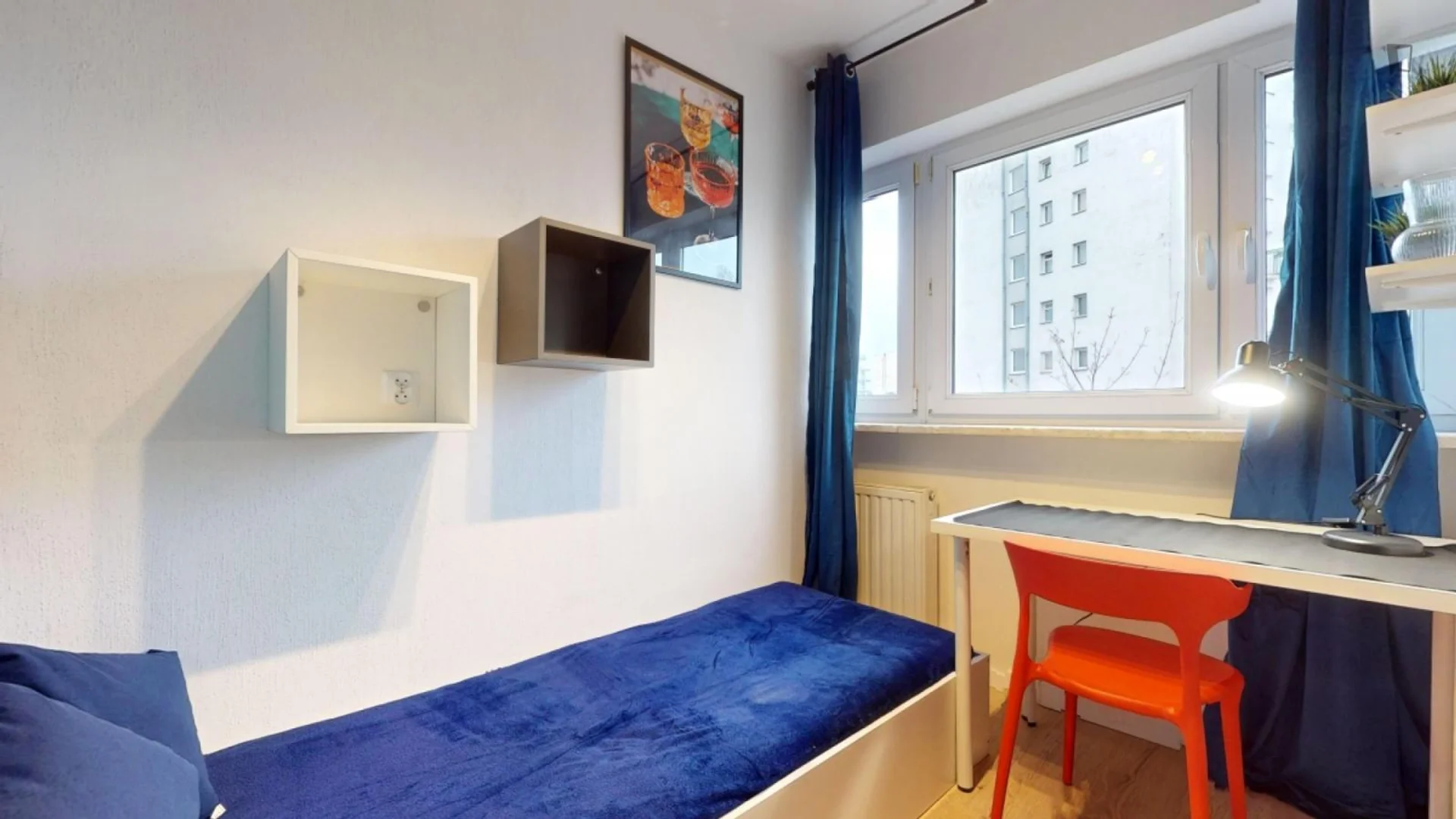 Affordable room for students with ample lighting in 