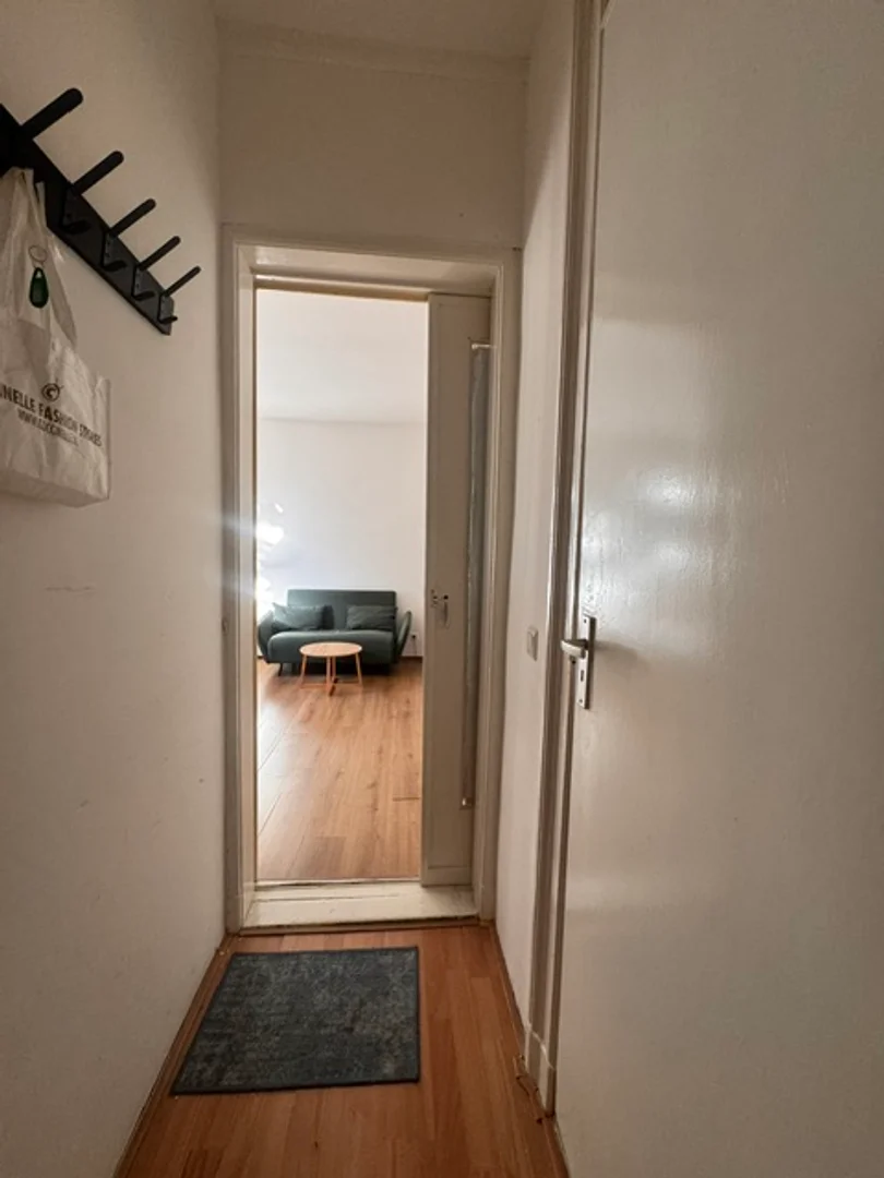 Estudio compacto ideal para estudiantes en 