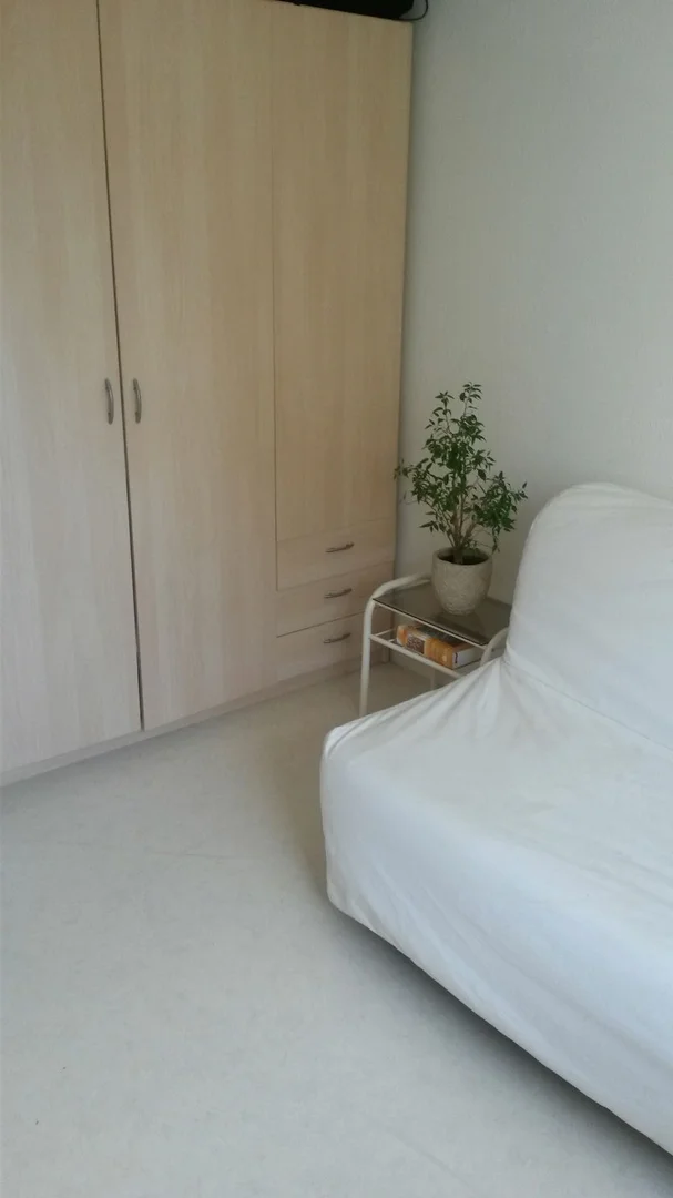 Affordable room for students with ample lighting in 