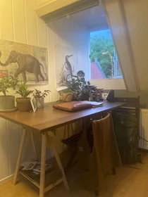 Stanza privata in Burgwal, immagine 9 di 9