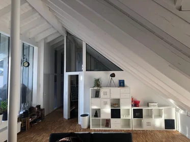Entire apartment at St.-Anna-Gasse, image 13 of 13