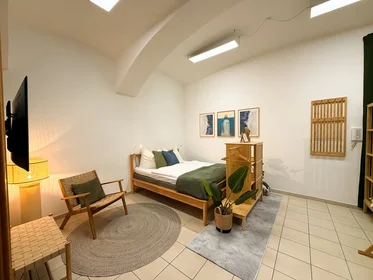 Logement entier à Radetzkystraße 11, image 2 de 36