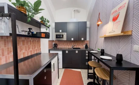 Logement entier à Radetzkystraße 11, image 13 de 36