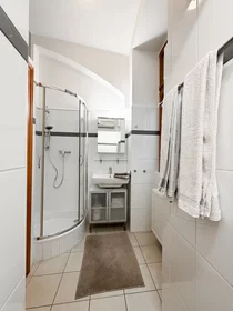 Logement entier à Radetzkystraße 11, image 18 de 36