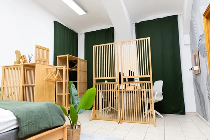 Logement entier à Radetzkystraße 11, image 30 de 36