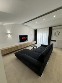 Accommodation in the centre of {area}
