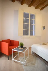Gesamte Unterkunft in der Carrer de Sant Martí, El Raval, bild 6 von 10