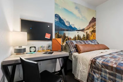 Accommodation in the centre of {area}