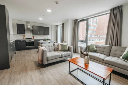 Chambre privée en résidence à 4 Rockingham St, Sheffield City Centre, Sheffield S1 4TT, United Kingdom, image 3 de 49