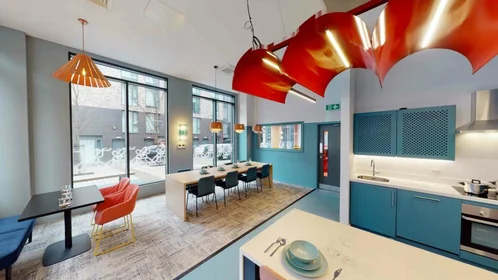 Chambre privée en résidence à 4 Rockingham St, Sheffield City Centre, Sheffield S1 4TT, United Kingdom, image 23 de 49