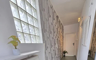 Stanza privata in Wita Stwosza, immagine 9 di 13