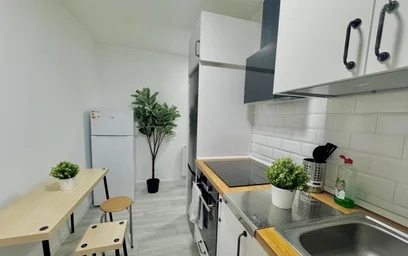 Chambre privée à C. Alhelí, image 7 de 14