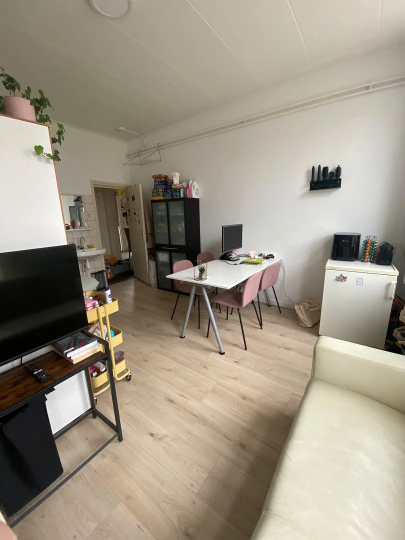 Room for rent in student apartment in , fully furnished