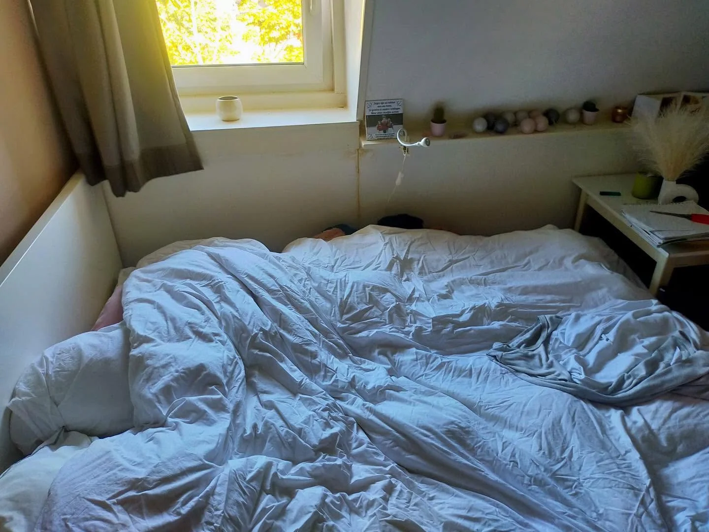  bölgesinde uygun konuma sahip ekonomik öğrenci odası