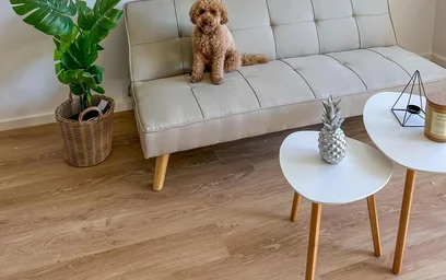 {area} de ortak bir dairede kiralık oda