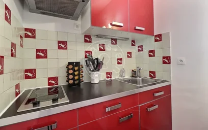 Logement entier à Rue Nicolo, image 13 de 22