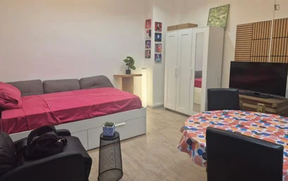 Estupendo estudio en {area}