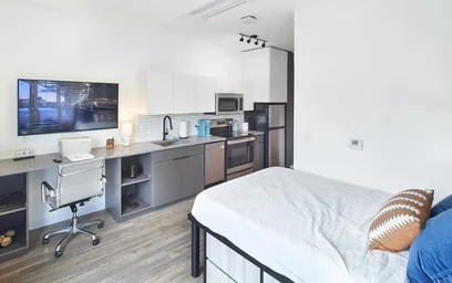 Logement entier en résidence à Lindell Blvd, St. Louis, MO 63108, USA, image 11 de 40
