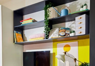 Estupendo estudio en {area}