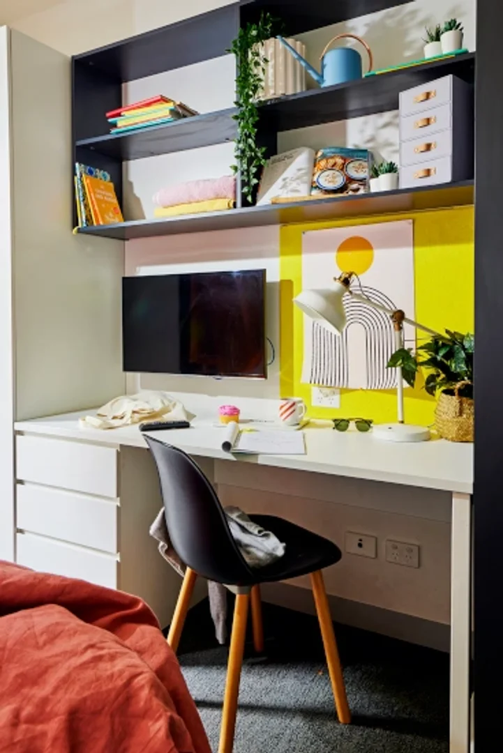 Estudio compacto ideal para estudiantes en 