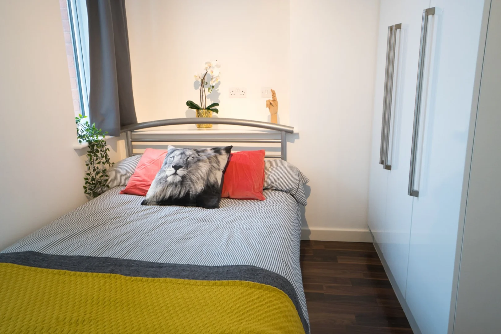 Affordable room for students with ample lighting in 