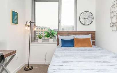 Apartamento inteiro em residência em 929 N Wolfe St, Baltimore, MD, 21205, US, imagem 27 de 49