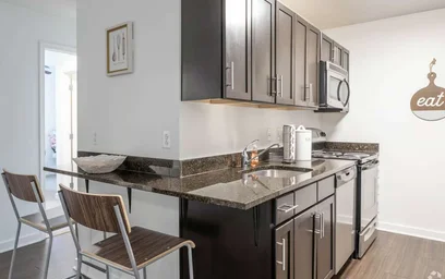 Apartamento inteiro em residência em 929 N Wolfe St, Baltimore, MD, 21205, US, imagem 7 de 49