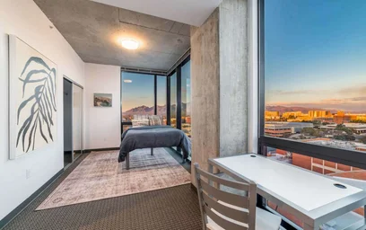 Apartamento inteiro em residência em 1031 N Park Ave, Tucson, AZ 85719, United States, imagem 5 de 41