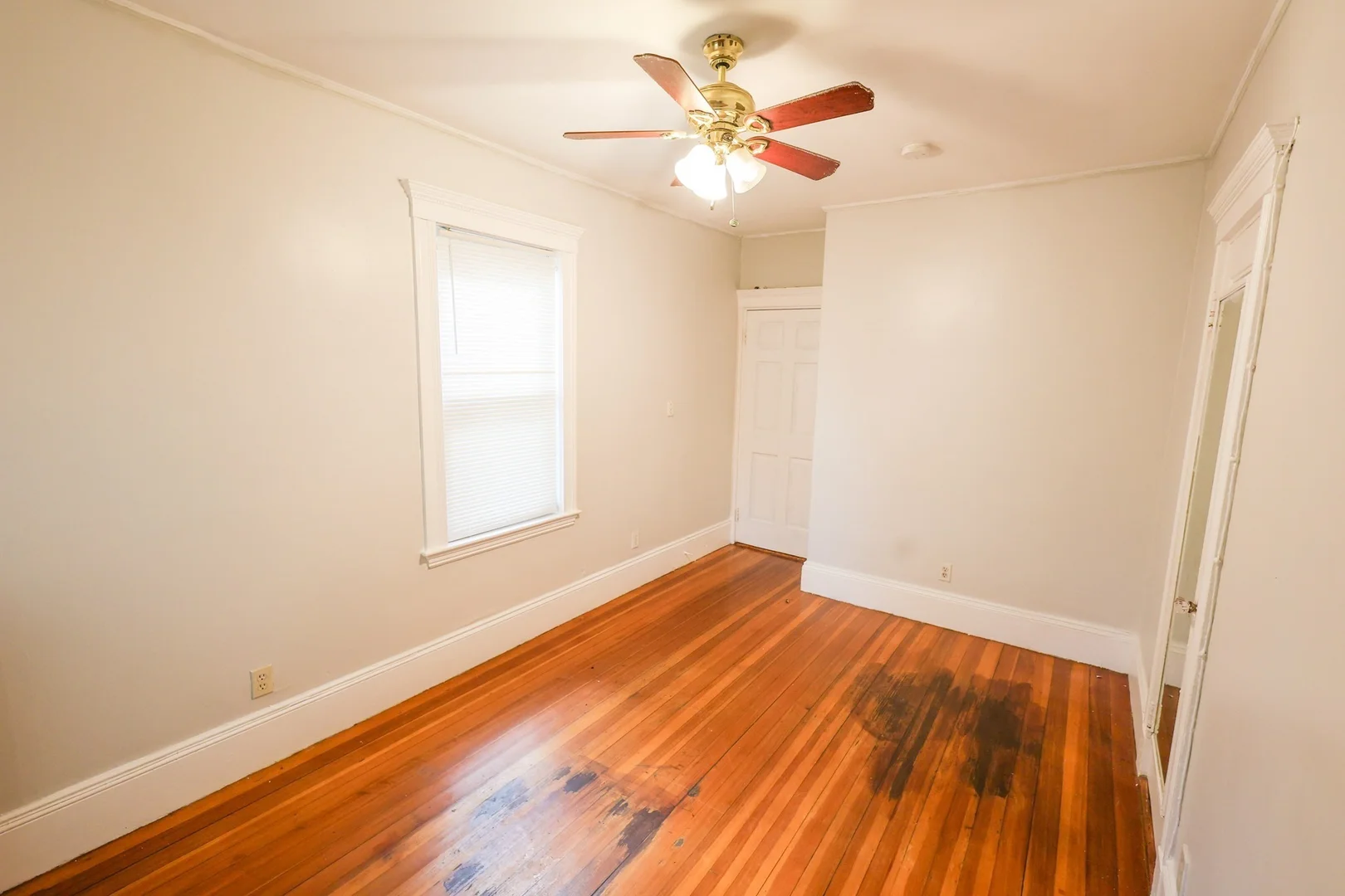 9, Ridgewood St., Unit 2, Dorchester, Boston, MA, 02122