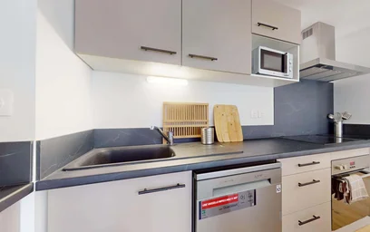Prywatny pokój 32 Rue Tarissan, 31400 Toulouse, France, obraz 10 18