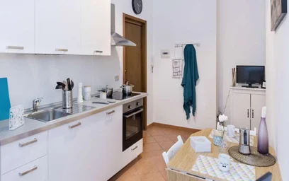 Entire apartment at Via Perugino, image 4 of 29
