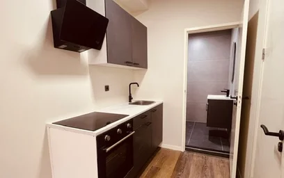 Estudio en Noordmolenstraat, imagen 6 de 6
