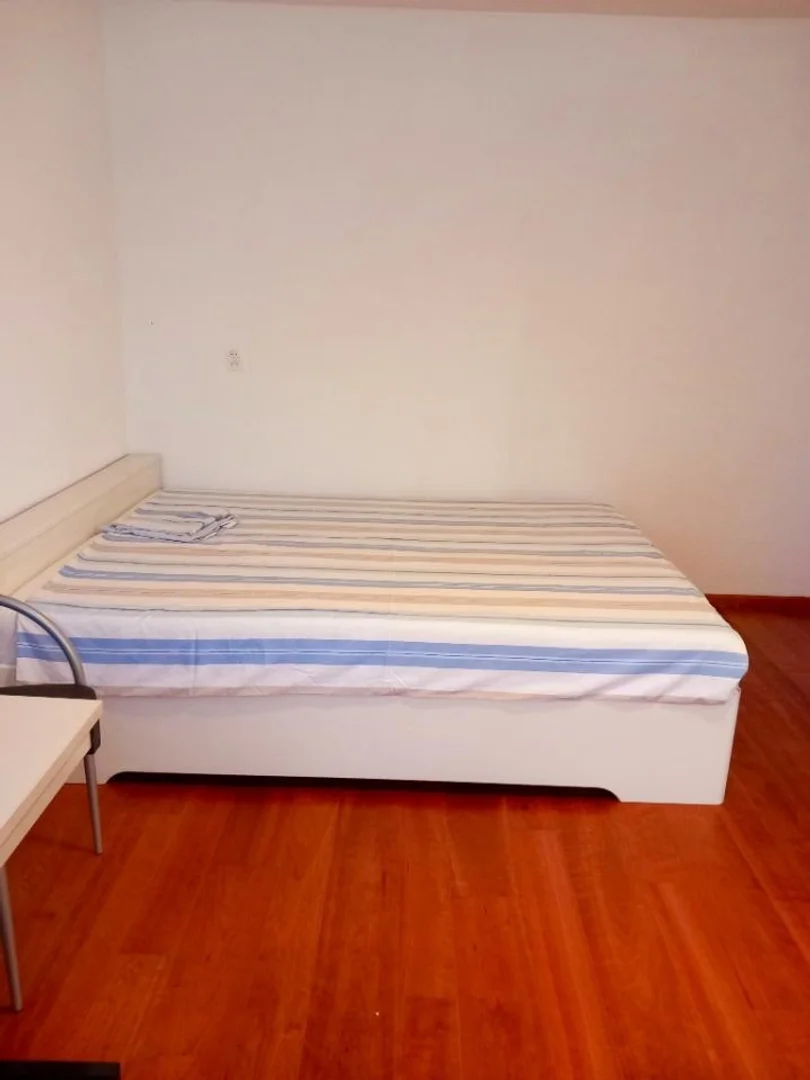 Camera per studenti in  con area studio e servizi in comune