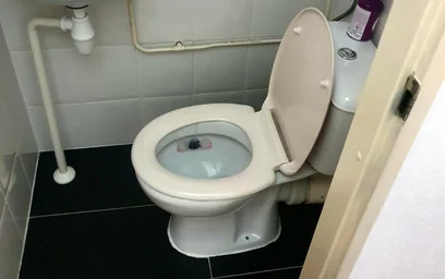 Privatzimmer in der Aaf Bouberstraat, bild 8 von 10