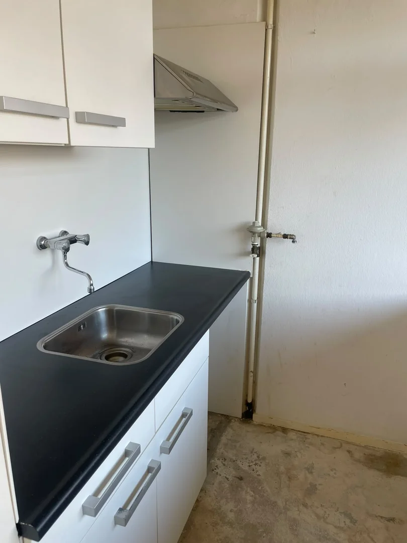 Minimalistisches Studentenstudio in  mit effizientem Grundriss