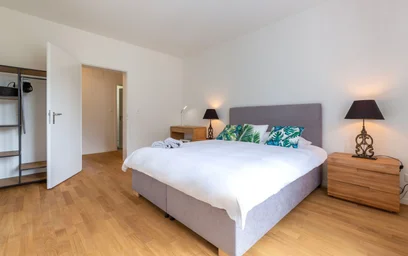 Logement entier à Elisabethenstrasse, image 12 de 20